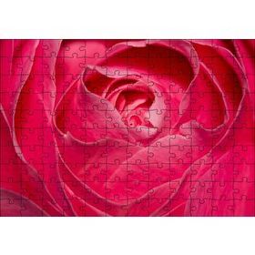 Cakapuzzle Pembe Gül Yakın Çekim 120 Parça Puzzle