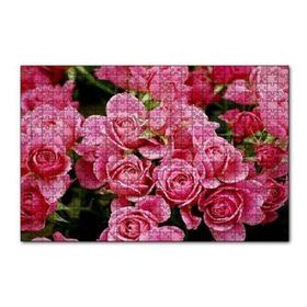 Cakapuzzle Pembe Güller 120 Parça Ahşap Puzzle
