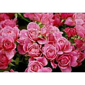 Cakapuzzle Pembe Güller 120 Parça Ahşap Puzzle