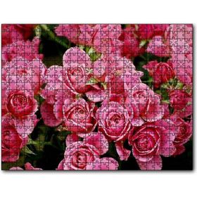 Cakapuzzle Pembe Güller 500 Parça Puzzle