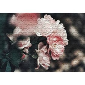 Cakapuzzle Pembe Güller Flu Arkaplan 120 Parça Ahşap Puzzle