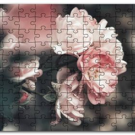 Cakapuzzle Pembe Güller Flu Arkaplan Mdf 500 Parça Puzzle