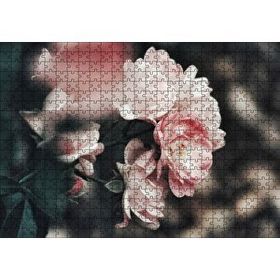 Cakapuzzle Pembe Güller Flu Arkaplan Mdf 500 Parça Puzzle