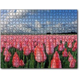 Cakapuzzle Pembe Lale Bahçesi Görseli 120 Parça Puzzle