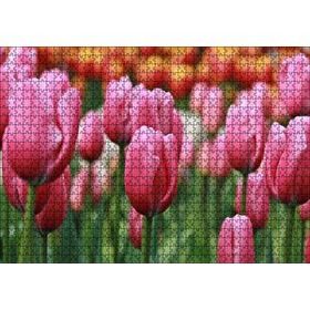 Cakapuzzle Pembe Lale Tarlası Görseli 1000 Parça Puzzle