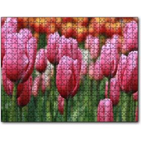 Cakapuzzle Pembe Lale Tarlası Görseli 500 Parça Puzzle