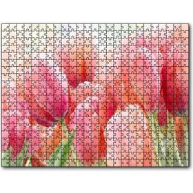 Cakapuzzle Pembe Laleler Görseli 1000 Parça Puzzle