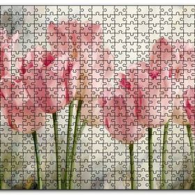 Cakapuzzle Pembe Laleler Yağlıboya Mdf 500 Parça Puzzle
