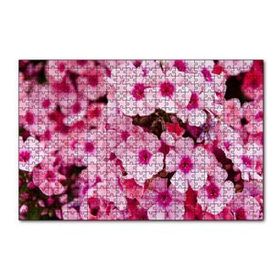 Cakapuzzle Pembe Plumeria Çiçekleri 120 Parça Ahşap Puzzle