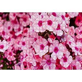 Cakapuzzle Pembe Plumeria Çiçekleri 120 Parça Ahşap Puzzle