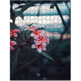 Cakapuzzle Pembe Plumeria Çiçekleri Flu Arkaplan Mdf 1000 Parça Puzzle