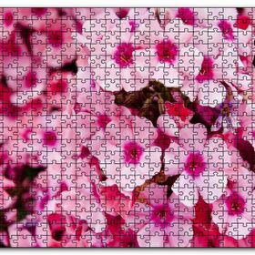 Cakapuzzle Pembe Plumeria Çiçekleri Mdf 120 Parça Puzzle