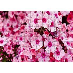 Cakapuzzle Pembe Plumeria Çiçekleri Mdf 120 Parça Puzzle