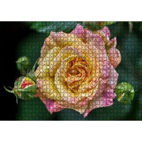 Cakapuzzle Pembe Sarı Gül Yakın Çekim 120 Parça Ahşap Puzzle