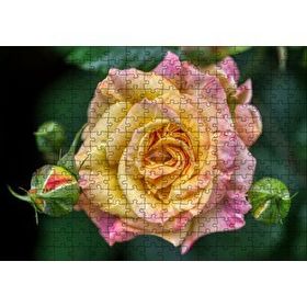 Cakapuzzle Pembe Sarı Gül Yakın Çekim 120 Parça Ahşap Puzzle