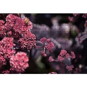 Cakapuzzle Pembe Tomurcuklu Çiçekler 120 Parça Ahşap Puzzle