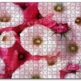 Cakapuzzle Pembeli Beyazlı Kapriz Çiçeği Görseli Mdf 120 Parça Puzzle