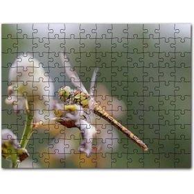 Cakapuzzle Perisi ve Buğday Başakları Mdf 120 Parça Puzzle