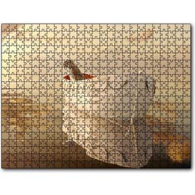 Cakapuzzle Pinin Yaşamı Kaplan ve Sandal 255 Parça Puzzle