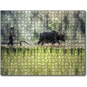 Cakapuzzle Pirinç Tarlası Süren Vietnamlı Mdf 1000 Parça Puzzle
