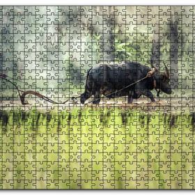 Cakapuzzle Pirinç Tarlası Süren Vietnamlı Mdf 120 Parça Puzzle