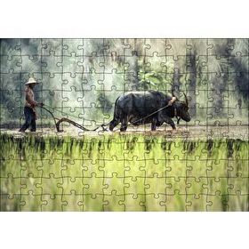 Cakapuzzle Pirinç Tarlası Süren Vietnamlı Mdf 120 Parça Puzzle