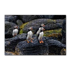 Cakapuzzle Puffin Bird Beak Rock 120 Parça Ahşap Puzzle