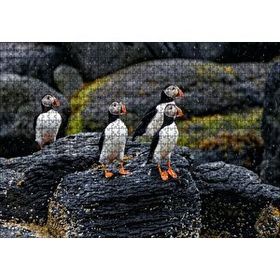 Cakapuzzle Puffin Bird Beak Rock 120 Parça Ahşap Puzzle