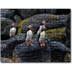 Cakapuzzle Puffin Bird Beak Rock 255 Parça Puzzle