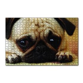 Cakapuzzle Pug Cinsi Köpek 120 Parça Ahşap Puzzle
