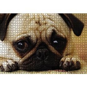 Cakapuzzle Pug Cinsi Köpek Ahşap 1000 Parça Puzzle