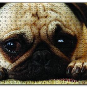 Cakapuzzle Pug Cinsi Köpek Ahşap 500 Parça Puzzle