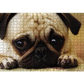 Cakapuzzle Pug Cinsi Köpek Ahşap 500 Parça Puzzle