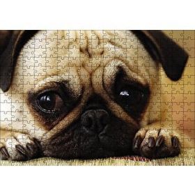 Cakapuzzle Pug Cinsi Köpek Mdf 255 Parça Puzzle