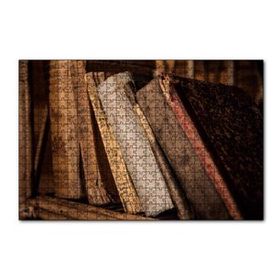 Cakapuzzle Rafta Eski Antika Kitaplar 120 Parça Ahşap Puzzle