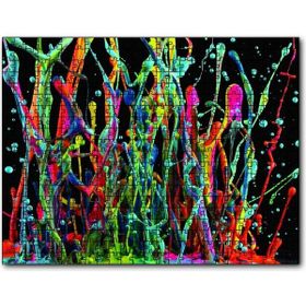 Cakapuzzle Renkli Boya Damlaları 500 Parça Puzzle