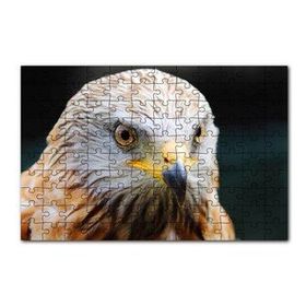 Cakapuzzle Şahin Keskin Gözler Yakın Çekim 120 Parça Ahşap Puzzle