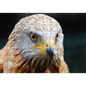 Cakapuzzle Şahin Keskin Gözler Yakın Çekim 120 Parça Ahşap Puzzle