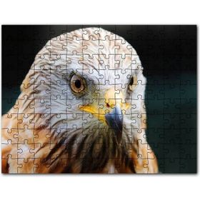 Cakapuzzle Şahin Keskin Gözler Yakın Çekim 120 Parça Puzzle