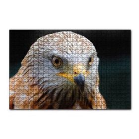 Cakapuzzle Şahin Yakın Çekim 120 Parça Ahşap Puzzle