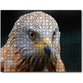Cakapuzzle Şahin Yakın Çekim 255 Parça Puzzle
