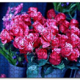 Cakapuzzle Saksı İçinde Muhteşem Kırmızı Güller Mdf 500 Parça Puzzle