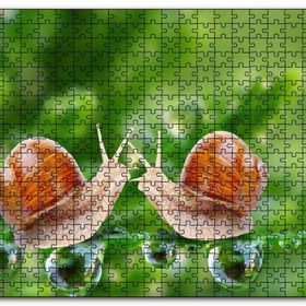 Cakapuzzle Salyangozlar Karşılaşması Yeşil Damlacıkları Mdf 120 Parça Puzzle
