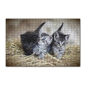 Cakapuzzle Samanlar Arasında Mavi Gözlü Üç Yavru Kedi 120 Parça Ahşap Puzzle