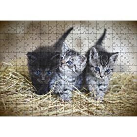 Cakapuzzle Samanlar Arasında Mavi Gözlü Üç Yavru Kedi 120 Parça Ahşap Puzzle