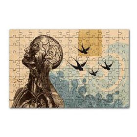 Cakapuzzle Sanatsal Anatomi 120 Parça Ahşap Puzzle