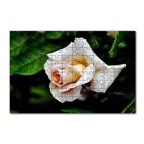 Cakapuzzle Sarı Beyaz Gül Yakın Çekim 120 Parça Ahşap Puzzle