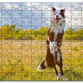 Cakapuzzle Sarı Çayırda Zıplayan Kahverengi Beyaz Köpek Mdf 120 Parça Puzzle