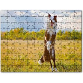 Cakapuzzle Sarı Çayırda Zıplayan Kahverengi Beyaz Köpek Mdf 500 Parça Puzzle