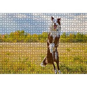 Cakapuzzle Sarı Çayırda Zıplayan Kahverengi Beyaz Köpek Yapboz MDF Puzzle